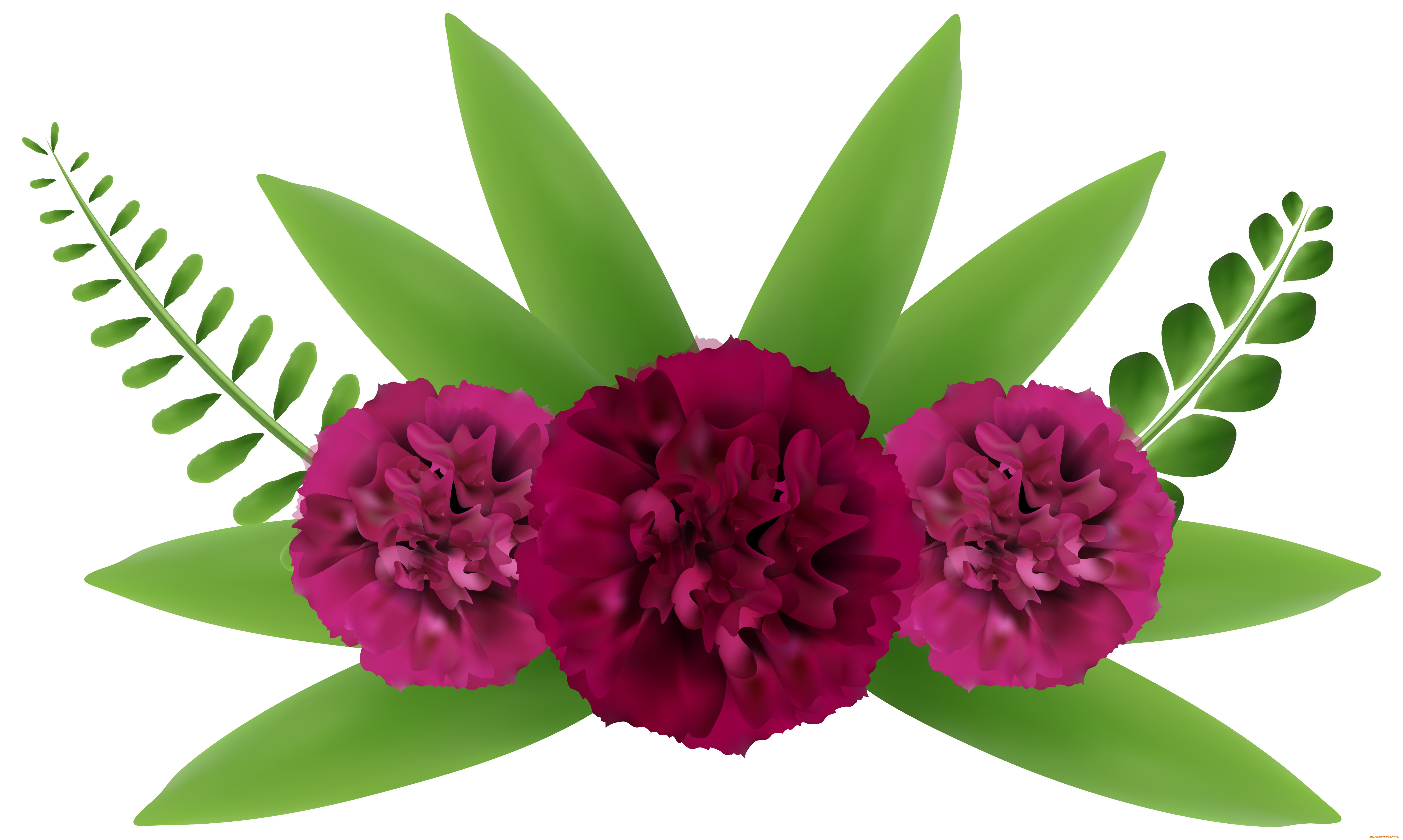  ,  , flowers, , 